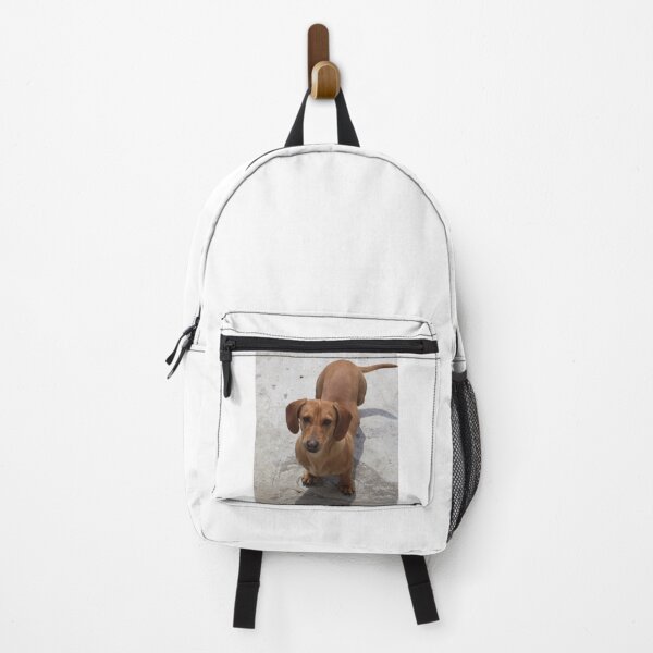 Item preview, Dachshund Dog Looking Serious designed and sold by VanGaldo.