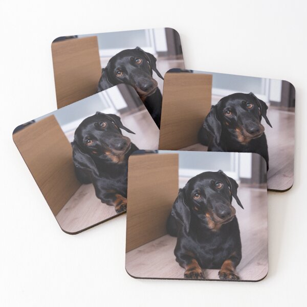 Item preview, Cute Dachshund Dog Tilting Head designed and sold by VanGaldo.