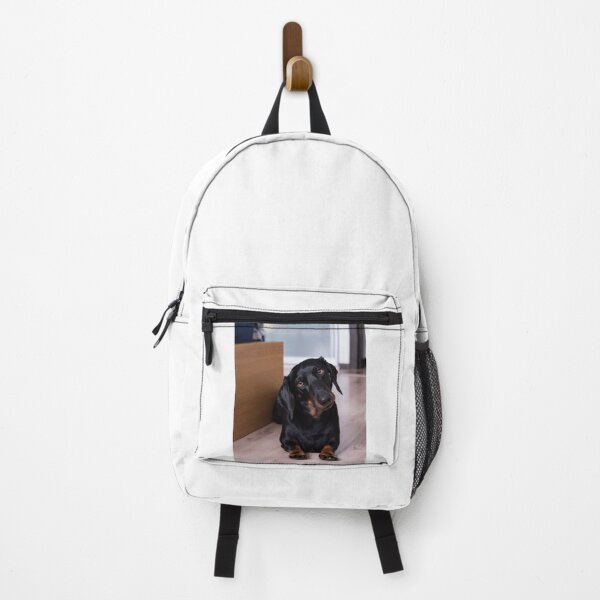 Item preview, Cute Dachshund Dog Tilting Head designed and sold by VanGaldo.