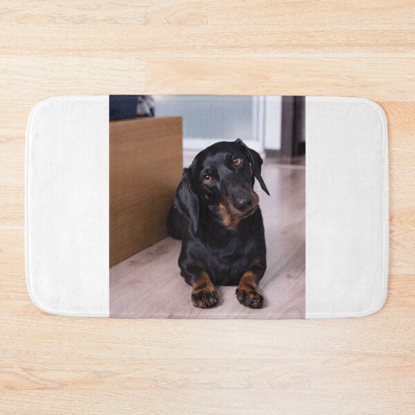 Item preview, Cute Dachshund Dog Tilting Head designed and sold by VanGaldo.