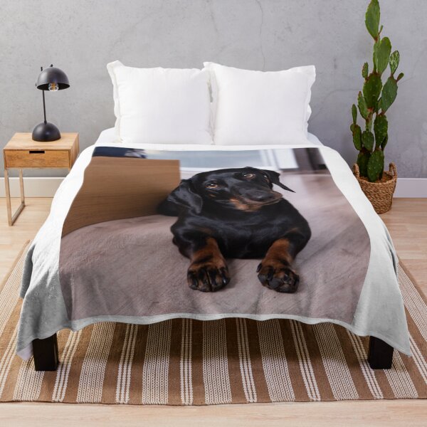 Item preview, Cute Dachshund Dog Tilting Head designed and sold by VanGaldo.