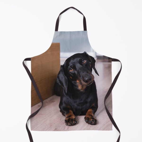 Item preview, Cute Dachshund Dog Tilting Head designed and sold by VanGaldo.