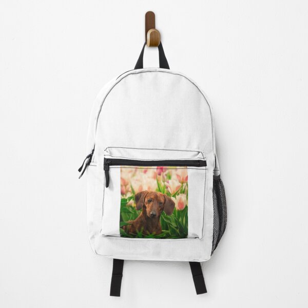 Aperçu de l'œuvre Le chiot teckel adore le jardin de fleurs créée et vendue par VanGaldo.