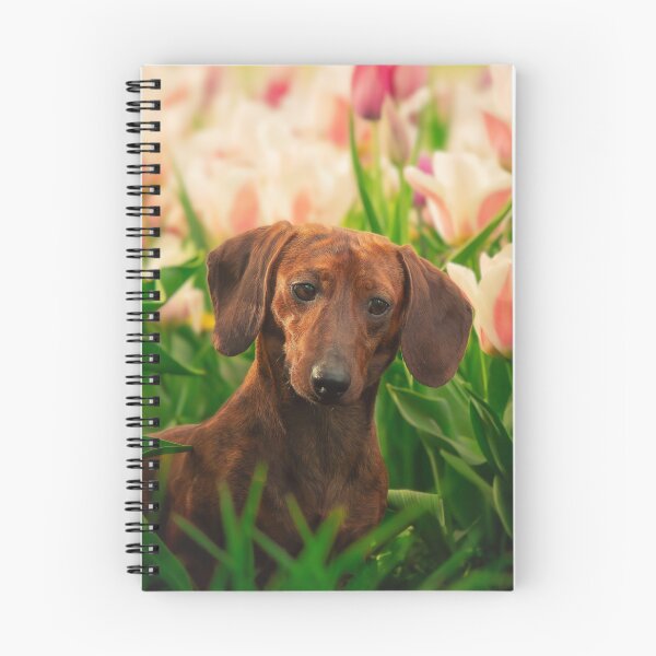 Item preview, Dachshund Puppy Loves the Flower Garden designed and sold by VanGaldo.