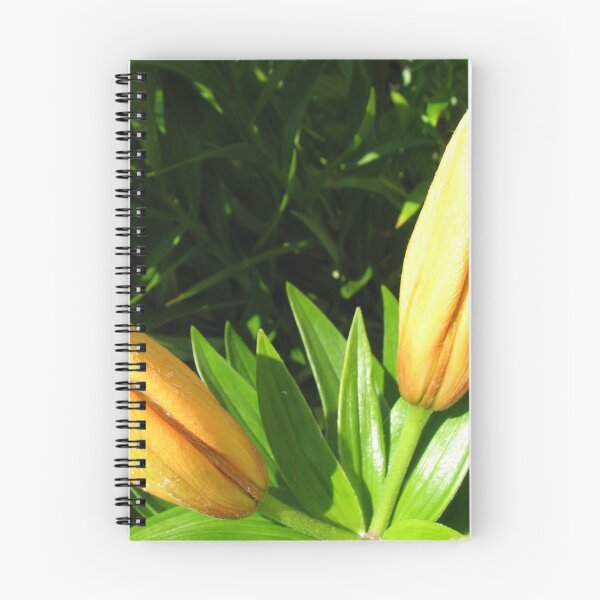 Item preview, 'V' for Victory - Orange Lily Buds designed and sold by MidnightMelody.
