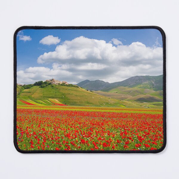 Item preview, Castelluccio flower designed and sold by Stevantanos.