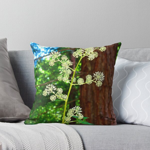 Item preview, Muir Woods Study 2  designed and sold by Robert Meyers-Lussier.