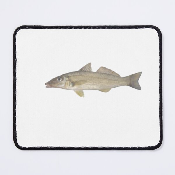 Item preview, Sand Whiting Beach Fish  designed and sold by Reelyfishing.