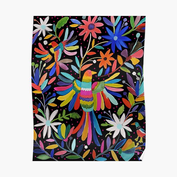 parajos Poster