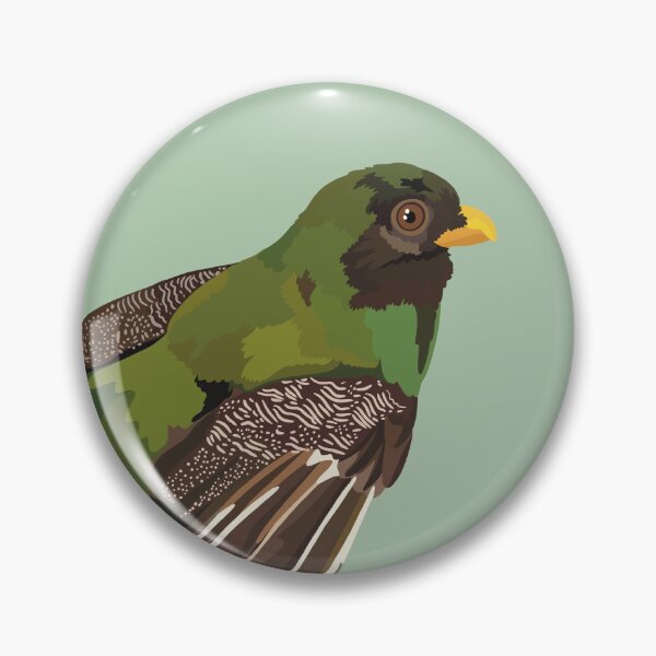 Item preview, T is for Trogan,Trogon Bird Collection | Exotic Bird Art & Wildlife Designs designed and sold by PrettylittlepastelUk.