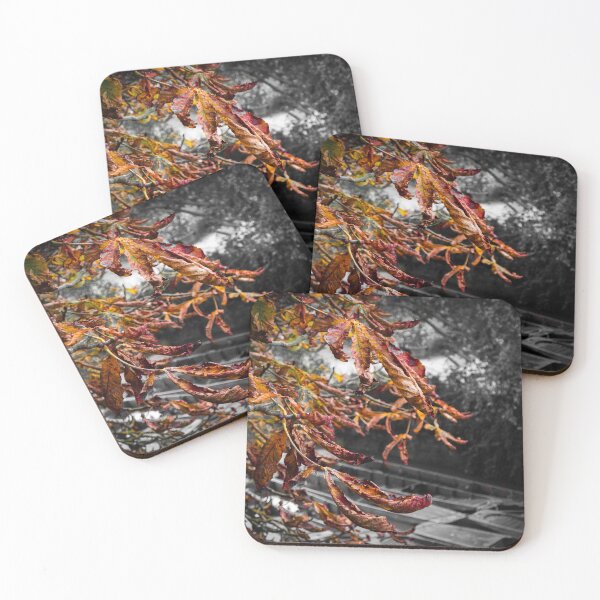 Item preview, Autumn leaves and punts designed and sold by mortal perspective .
