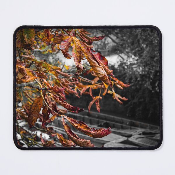 Item preview, Autumn leaves and punts designed and sold by mortal perspective .