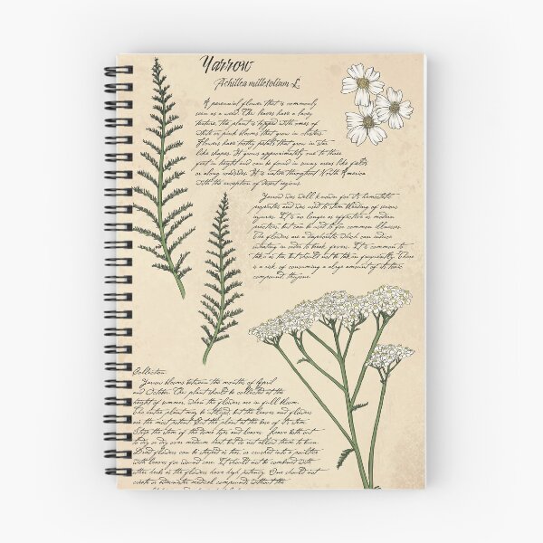 Item preview, Yarrow Botanical Page  designed and sold by KrystaThomasArt.