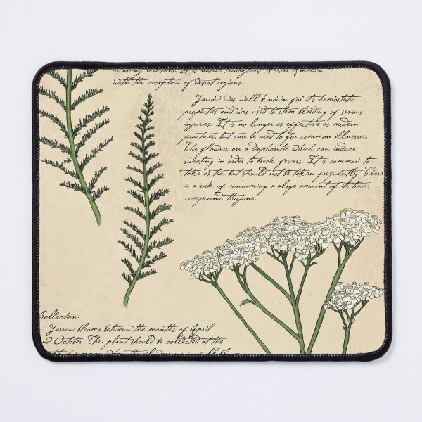 Item preview, Yarrow Botanical Page  designed and sold by KrystaThomasArt.