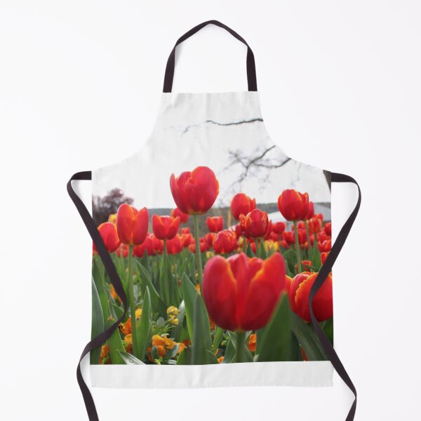 Artikelvorschau, ROTE TULPE IN EINEM BEET entworfen und verkauft von RREID84.