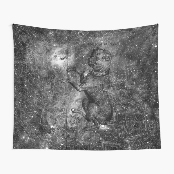 When The Stars Are Right - The Seagull Nebula In Canis Major (b&w version) Tapestry