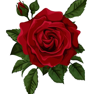 Artwork thumbnail, RED ROSE by lumar23