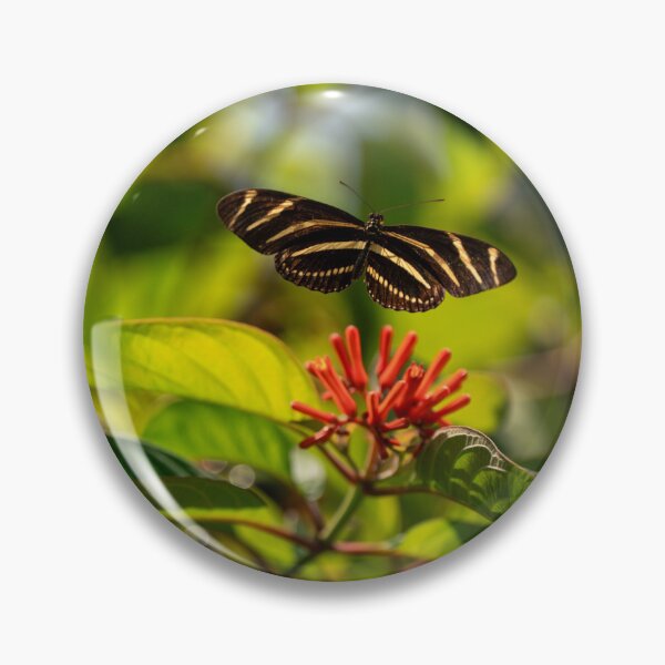 Item preview, Zebra Longwings designed and sold by HarpSnaps.