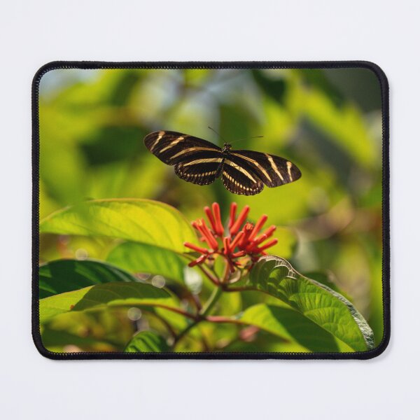 Item preview, Zebra Longwings designed and sold by HarpSnaps.