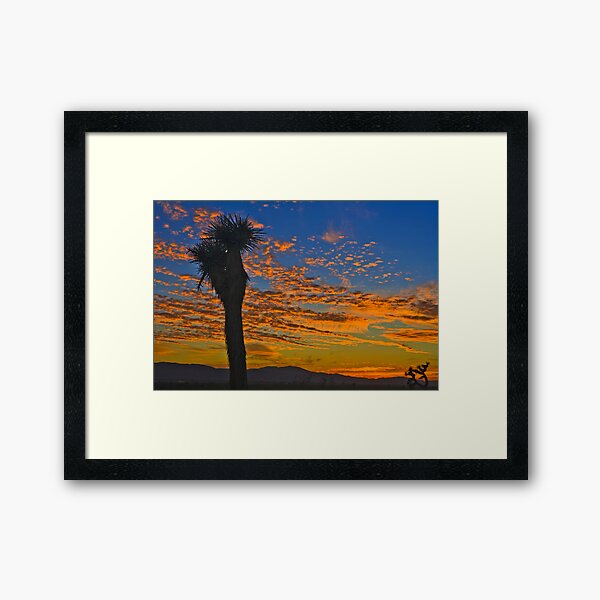 Joshua Tree Silohette Sunset Framed Art Print
