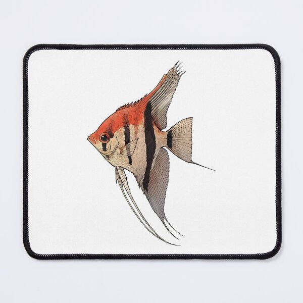 Item preview, Manacapuru Redback Angelfish (Pterophyllum scalare) designed and sold by My-Thing.