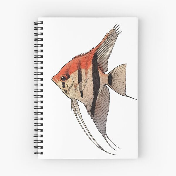 Item preview, Manacapuru Redback Angelfish (Pterophyllum scalare) designed and sold by My-Thing.