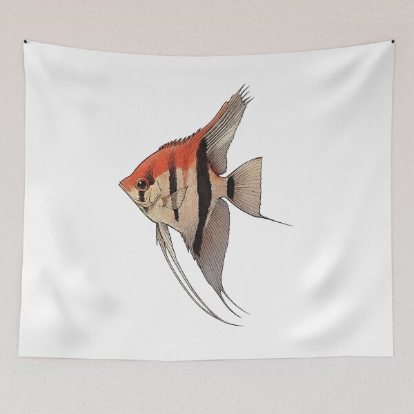 Item preview, Manacapuru Redback Angelfish (Pterophyllum scalare) designed and sold by My-Thing.