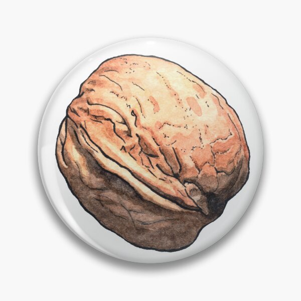 Item preview, Walnut nut - Watercolor illustration designed and sold by AquarellChill.