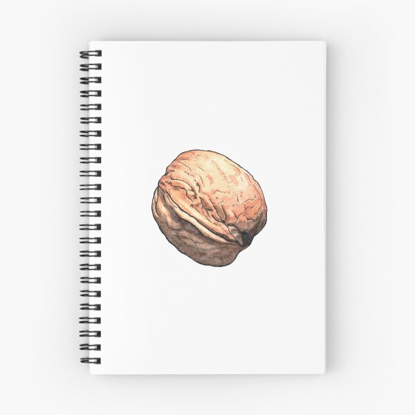 Item preview, Walnut nut - Watercolor illustration designed and sold by AquarellChill.