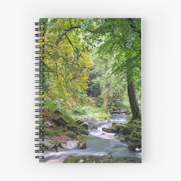 Item preview, Calm River in Irish Forest – Wicklow Nature Photography – Tranquil Ireland Landscape Print designed and sold by Martindoran.
