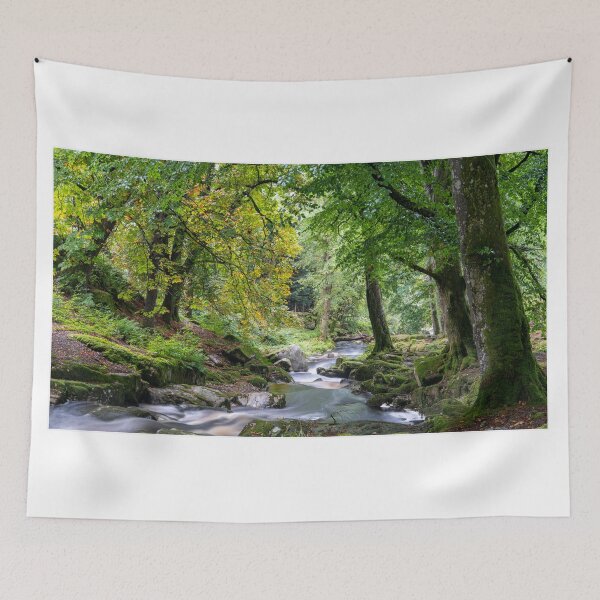 Item preview, Calm River in Irish Forest – Wicklow Nature Photography – Tranquil Ireland Landscape Print designed and sold by Martindoran.