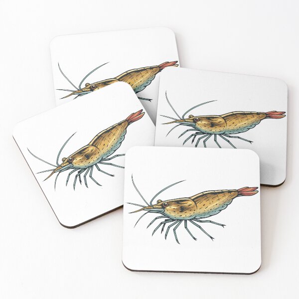 Item preview, Amano Shrimp (Caridina multidentata) designed and sold by My-Thing.