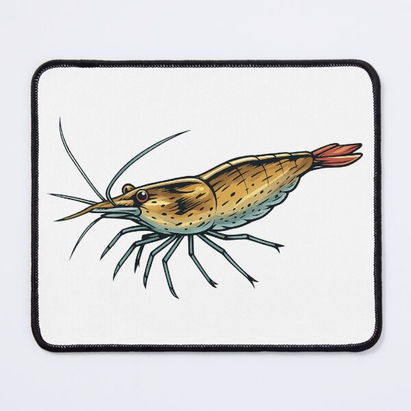 Item preview, Amano Shrimp (Caridina multidentata) designed and sold by My-Thing.