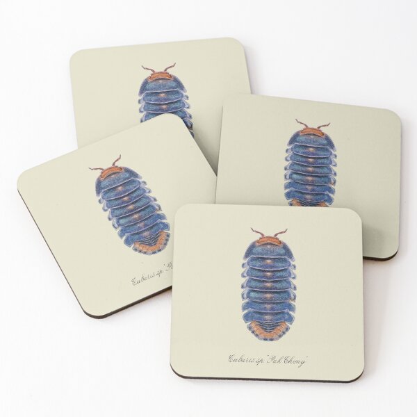 Item preview, Isopod Cubaris sp. designed and sold by dragonsinger.