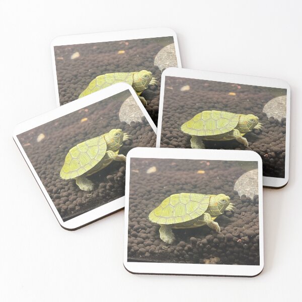 Item preview, Baby Turtle designed and sold by sweetpeascoots.