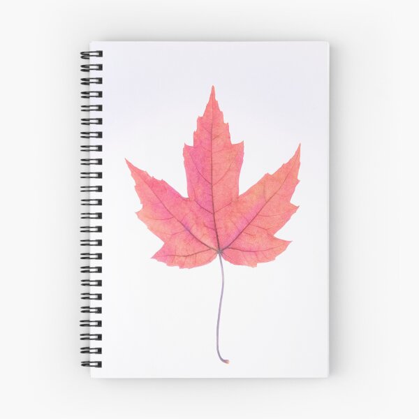 Item preview, Oak leaf designed and sold by TessAndre.