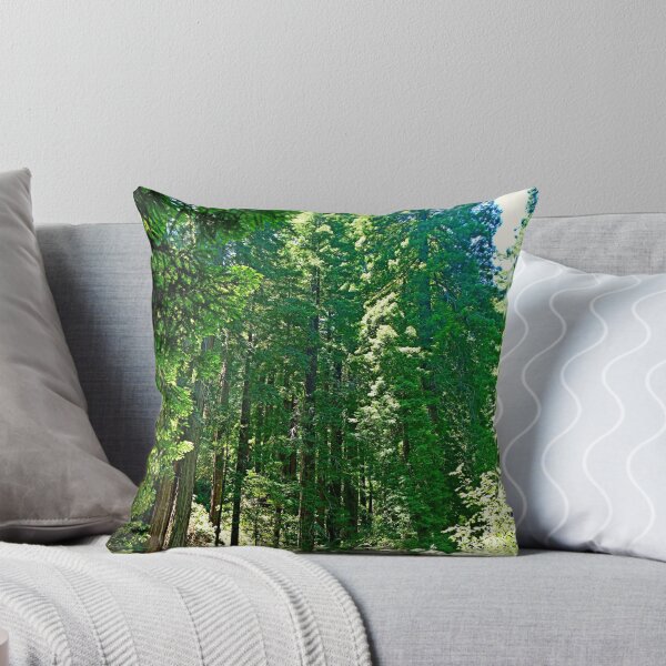 Item preview, Muir Woods Study 5  designed and sold by Robert Meyers-Lussier.