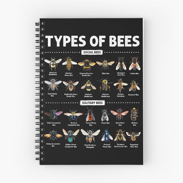 Item preview, Educational Types of Bees Chart for Bee Lovers designed and sold by NUMAcreations.