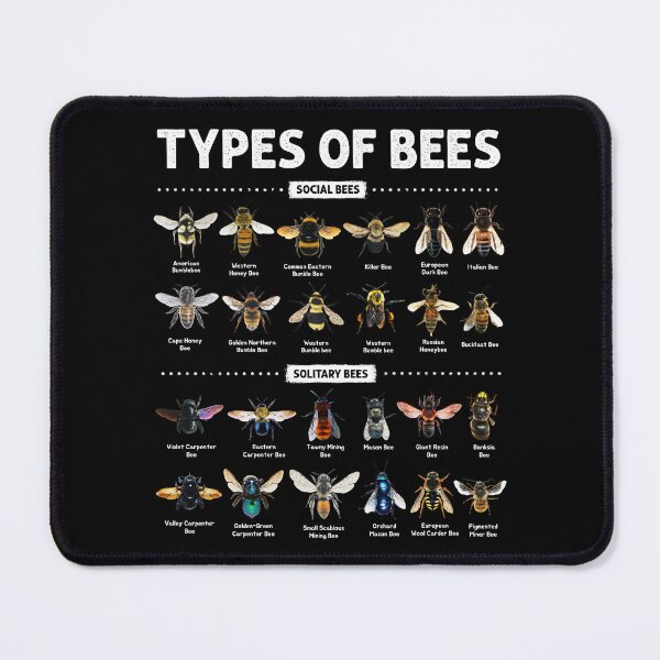 Item preview, Educational Types of Bees Chart for Bee Lovers designed and sold by NUMAcreations.