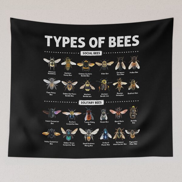 Item preview, Educational Types of Bees Chart for Bee Lovers designed and sold by NUMAcreations.