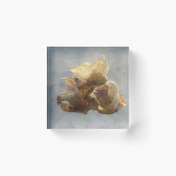 Item preview, suspended designed and sold by sovalette.