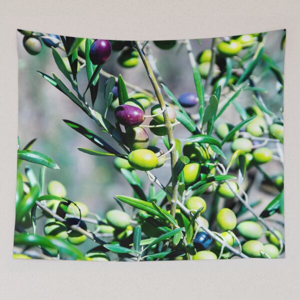 Item preview, Olives designed and sold by TessAndre.