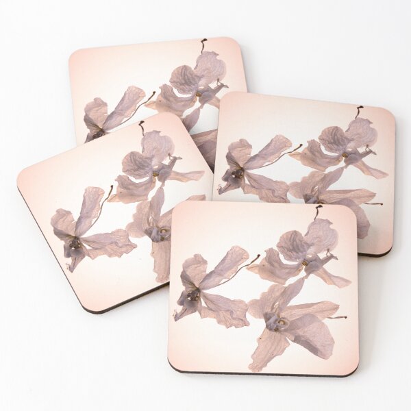 Item preview, White Orchids-White Flouwers-Dry Flowers designed and sold by TessAndre.