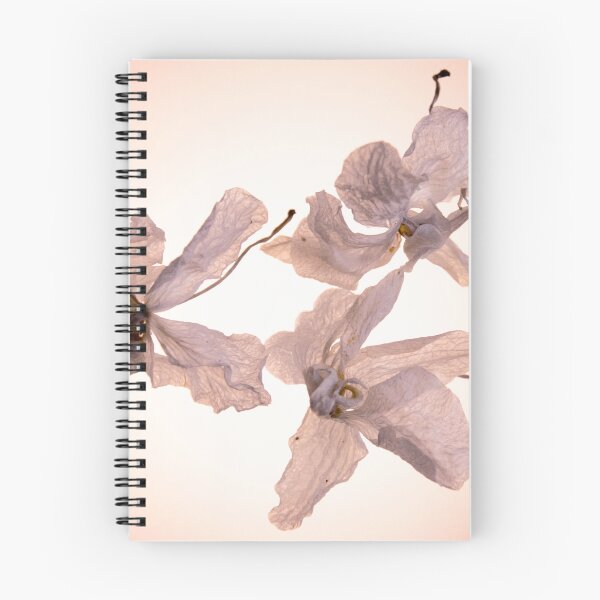 Item preview, Orquídeas Blancas-Flores Blancas-Flores Secas designed and sold by TessAndre.