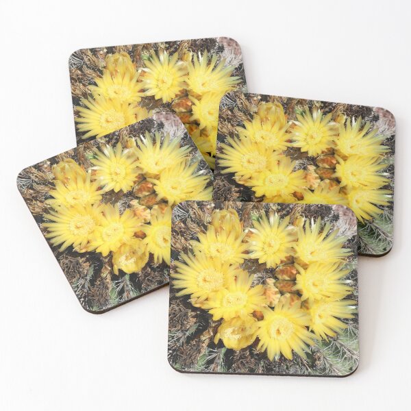 Item preview, Dazzling Yellow Barrel Cactus Flowers designed and sold by simonjayphotos.