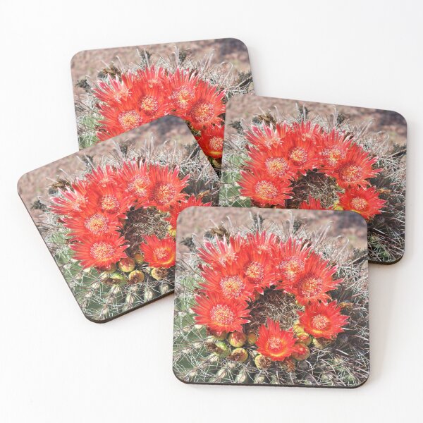 Item preview, Stunning Red Barrel Cactus Flowers designed and sold by simonjayphotos.