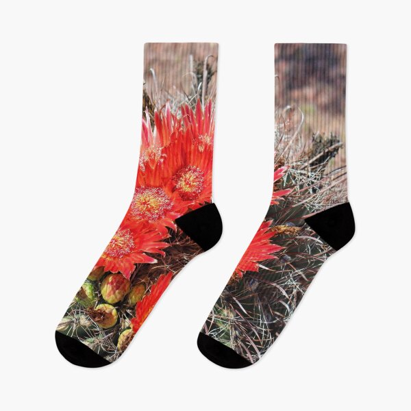 Item preview, Stunning Red Barrel Cactus Flowers designed and sold by simonjayphotos.