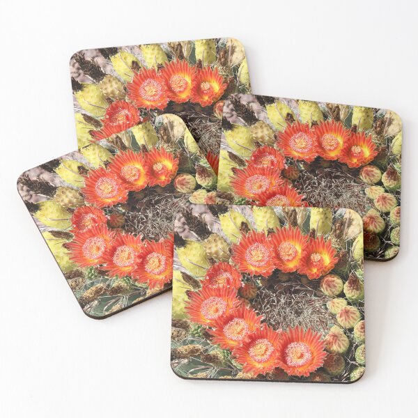 Item preview, Letter C Red Barrel Cactus Flowers designed and sold by simonjayphotos.