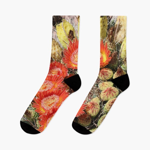 Item preview, Letter C Red Barrel Cactus Flowers designed and sold by simonjayphotos.