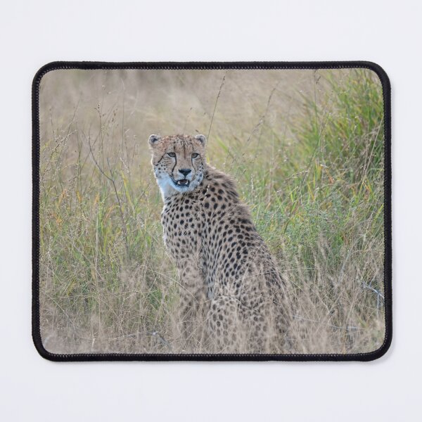 Item preview, Cheetah in the Tall Grass – Silent Watcher of the Savanna designed and sold by DavideAntoniani.